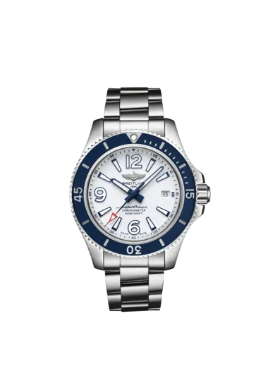 a17366d81a1a1-superocean-automatic-42-soldier