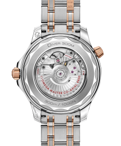 Alternative view of Omega SEAMASTER DIVER 300M 42 mm, steel ‑ Sedna™ gold on steel ‑ Sedna™ gold 210.20.42.20.01.001