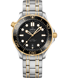 Omega SEAMASTER DIVER 300M 42 mm, steel ‑ yellow gold on steel ‑ yellow gold 210.20.42.20.01.002
