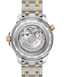 Alternative view of Omega SEAMASTER DIVER 300M 42 mm, steel ‑ yellow gold on steel ‑ yellow gold 210.20.42.20.03.001