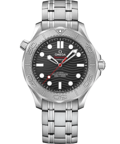 Omega SEAMASTER DIVER 300M 42 mm, steel on steel 210.30.42.20.01.002
