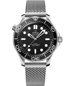 Omega SEAMASTER DIVER 300M 42 mm, steel on steel 210.30.42.20.01.010