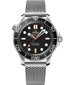 Omega SEAMASTER DIVER 300M 42 mm, steel on steel 210.30.42.20.01.018