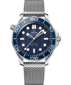 Omega SEAMASTER DIVER 300M 42 mm, steel on steel 210.30.42.20.03.002