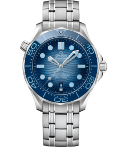 Omega SEAMASTER DIVER 300M 42 mm, steel on steel 210.30.42.20.03.003