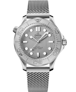 Omega SEAMASTER DIVER 300M 42 mm, steel on steel 210.30.42.20.06.002