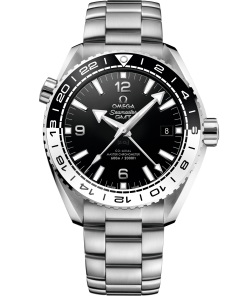 Omega SEAMASTER PLANET OCEAN 600M 43.5 mm, steel on steel 215.30.44.22.01.001