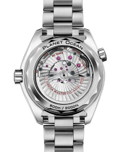 Alternative view of Omega SEAMASTER PLANET OCEAN 600M 43.5 mm, titanium on titanium 215.90.44.21.99.001