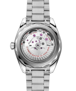 Alternative view of Omega SEAMASTER AQUA TERRA 150M 41 mm, steel on steel 220.10.41.21.01.002