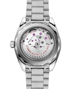 Alternative view of Omega SEAMASTER AQUA TERRA 150M 41 mm, steel on steel 220.10.41.21.03.006