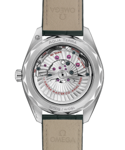 Alternative view of Omega SEAMASTER AQUA TERRA 150M 41 mm, steel on leather strap 220.13.41.21.10.001