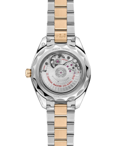 Alternative view of Omega SEAMASTER AQUA TERRA 150M 30 mm, steel ‑ Moonshine™ gold on steel ‑ Moonshine™ gold 220.20.30.20.02.001