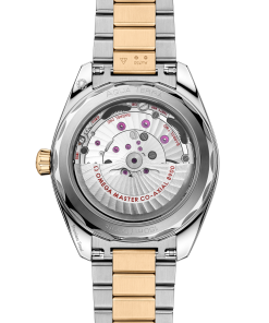 Alternative view of Omega SEAMASTER AQUA TERRA 150M 41 mm, steel ‑ Moonshine™ gold on steel ‑ Moonshine™ gold 220.20.41.21.01.001