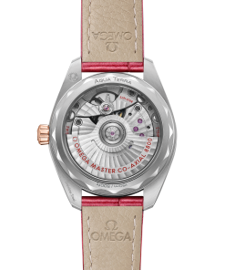 Alternative view of Omega SEAMASTER AQUA TERRA 150M 34 mm, steel ‑ Sedna™ gold on leather strap 220.23.34.20.60.001