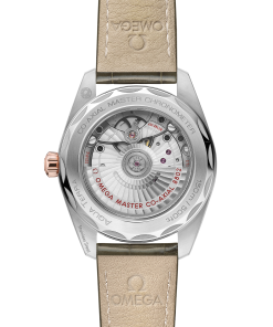 Alternative view of Omega SEAMASTER AQUA TERRA 150M 38 mm, steel ‑ Sedna™ gold on leather strap 220.23.38.20.60.001