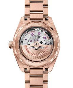 Alternative view of Omega SEAMASTER AQUA TERRA 150M 41 mm, Sedna™ gold on Sedna™ gold 220.50.41.21.03.001