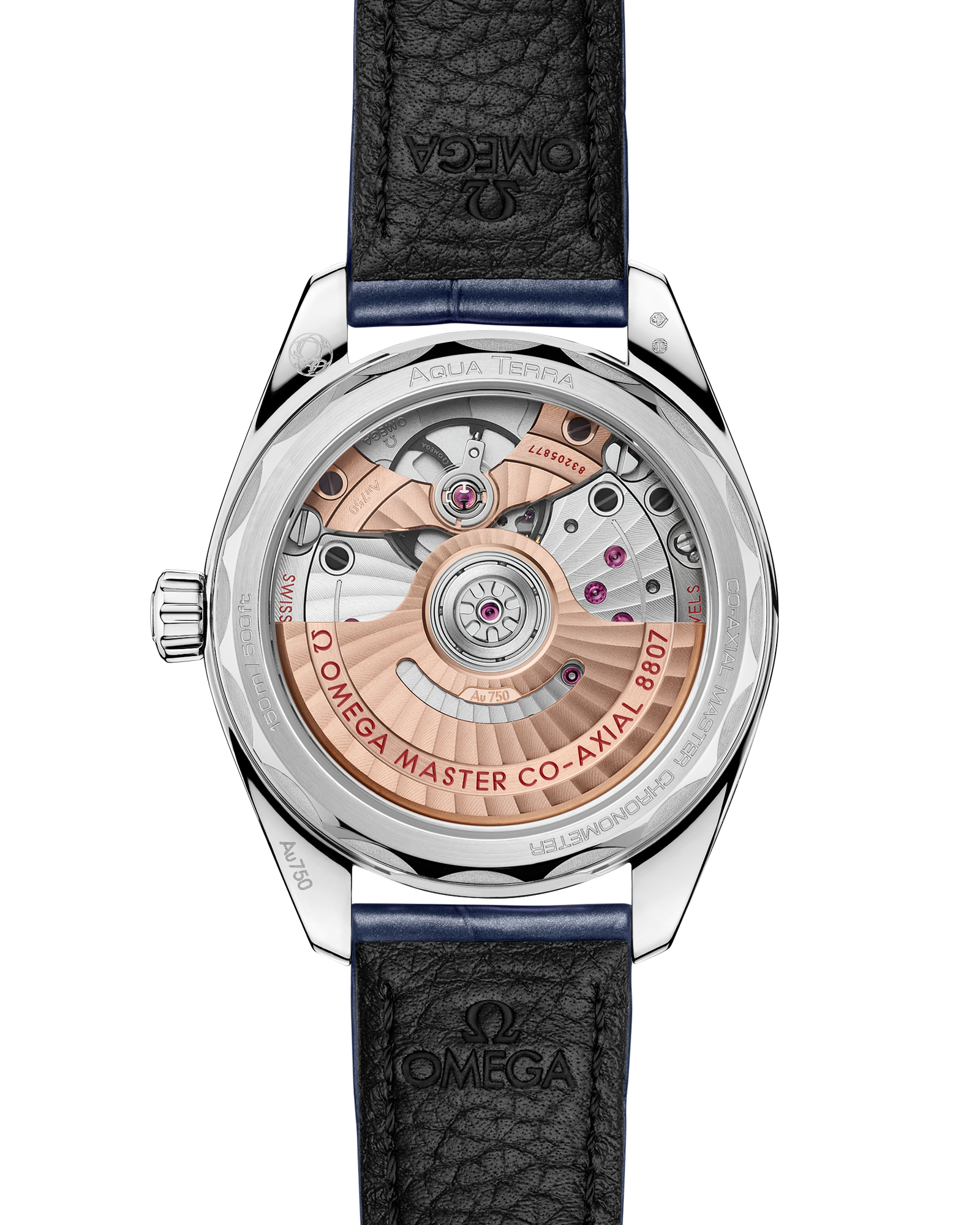 Omega SEAMASTER AQUA TERRA 150M 34 mm, Canopus Gold™ on alligator 220.58.34.20.99.007 - Image 2