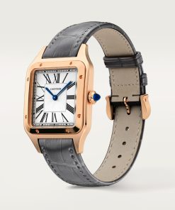 Alternative view of SANTOS-DUMONT WATCH