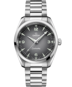 Omega SEAMASTER RAILMASTER 38 mm, steel on steel 235.10.38.20.06.001