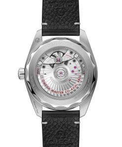 Alternative view of Omega SEAMASTER RAILMASTER 38 mm, steel on leather strap 235.12.38.20.06.001