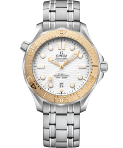 Omega SEAMASTER DIVER 300M 42 mm, steel on steel 522.21.42.20.04.001