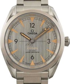 HandMade The Omega Seamaster Railmaster Grey Dial