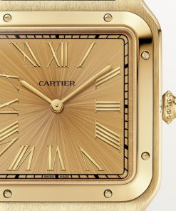 Alternative view of SANTOS-DUMONT WATCH