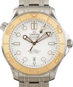 HandMade The Omega Seamaster Diver 300M Steel & 18k Moonshine Paris 2024