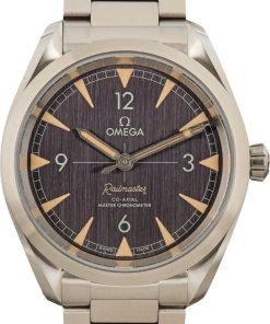 HandMade The Omega Seamaster Railmaster Black Dial