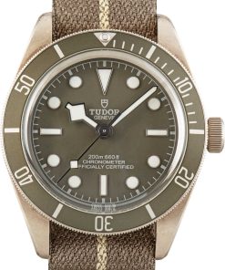 HandMade The Tudor Black Bay 58 925 Ref 79010 Taupe Dial & Bezel