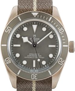 HandMade The Tudor Black Bay 58 925 Ref 79010 Taupe Dial