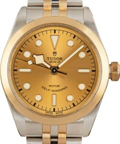 HandMade The Tudor Black Bay 36 Steel & Gold