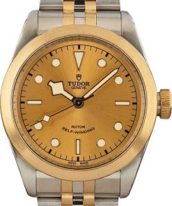 HandMade The Tudor Black Bay 41 Steel & Gold