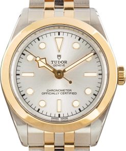 HandMade The Tudor Black Bay 39 ref 79633 Silver Dial