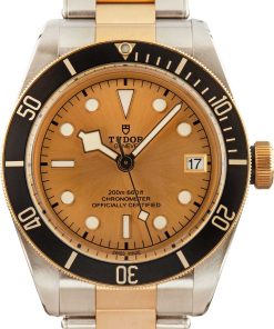 HandMade The Tudor Black Bay 79733N Two Tone Black Dial