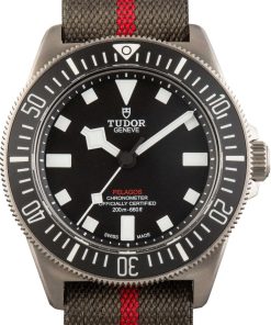 HandMade The Tudor Pelagos FXD 25717 Titanium