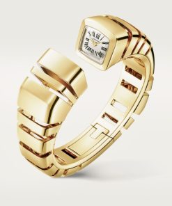 REFLECTION DE CARTIER WATCH