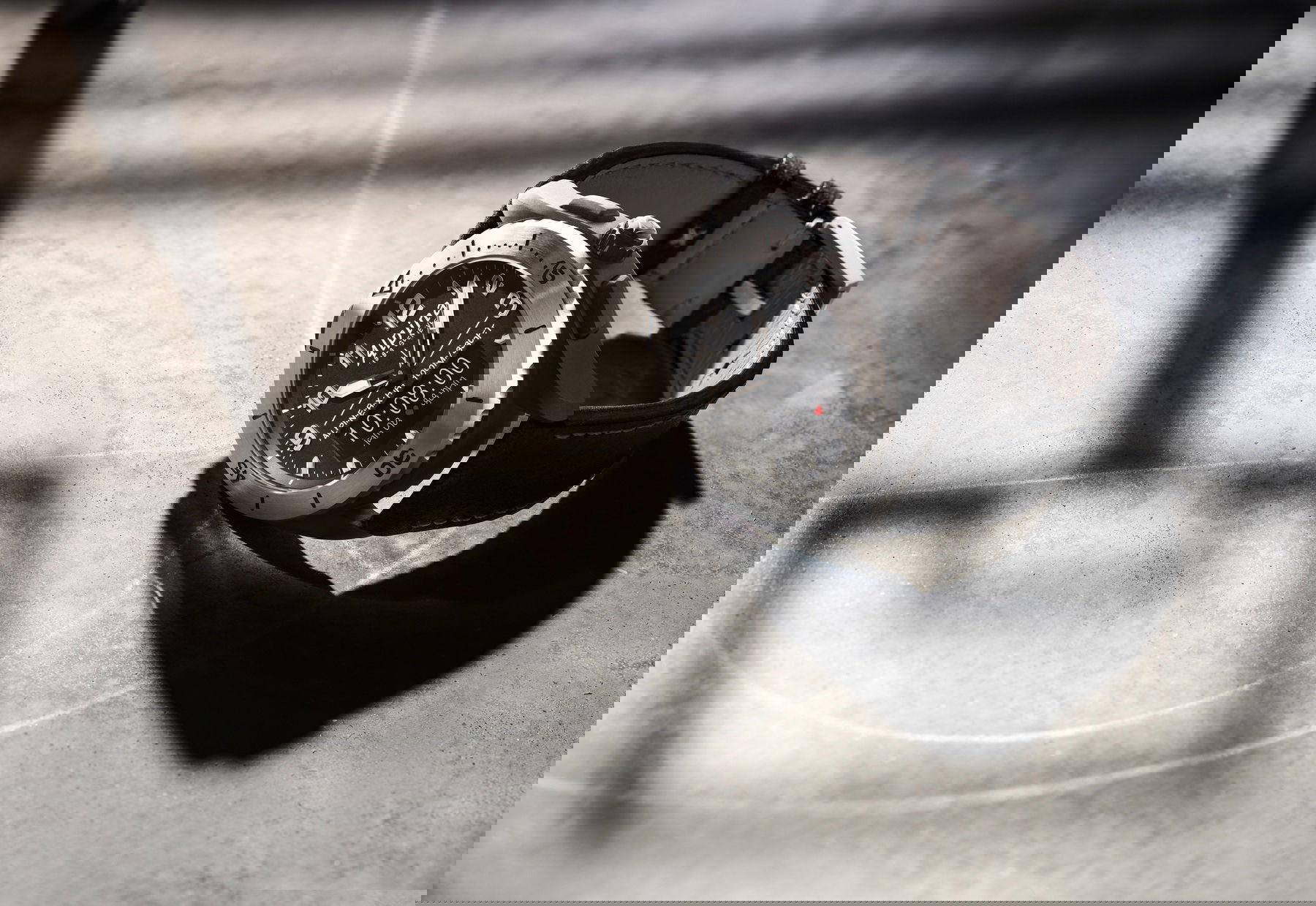 AlpinerX Alive - Image 3