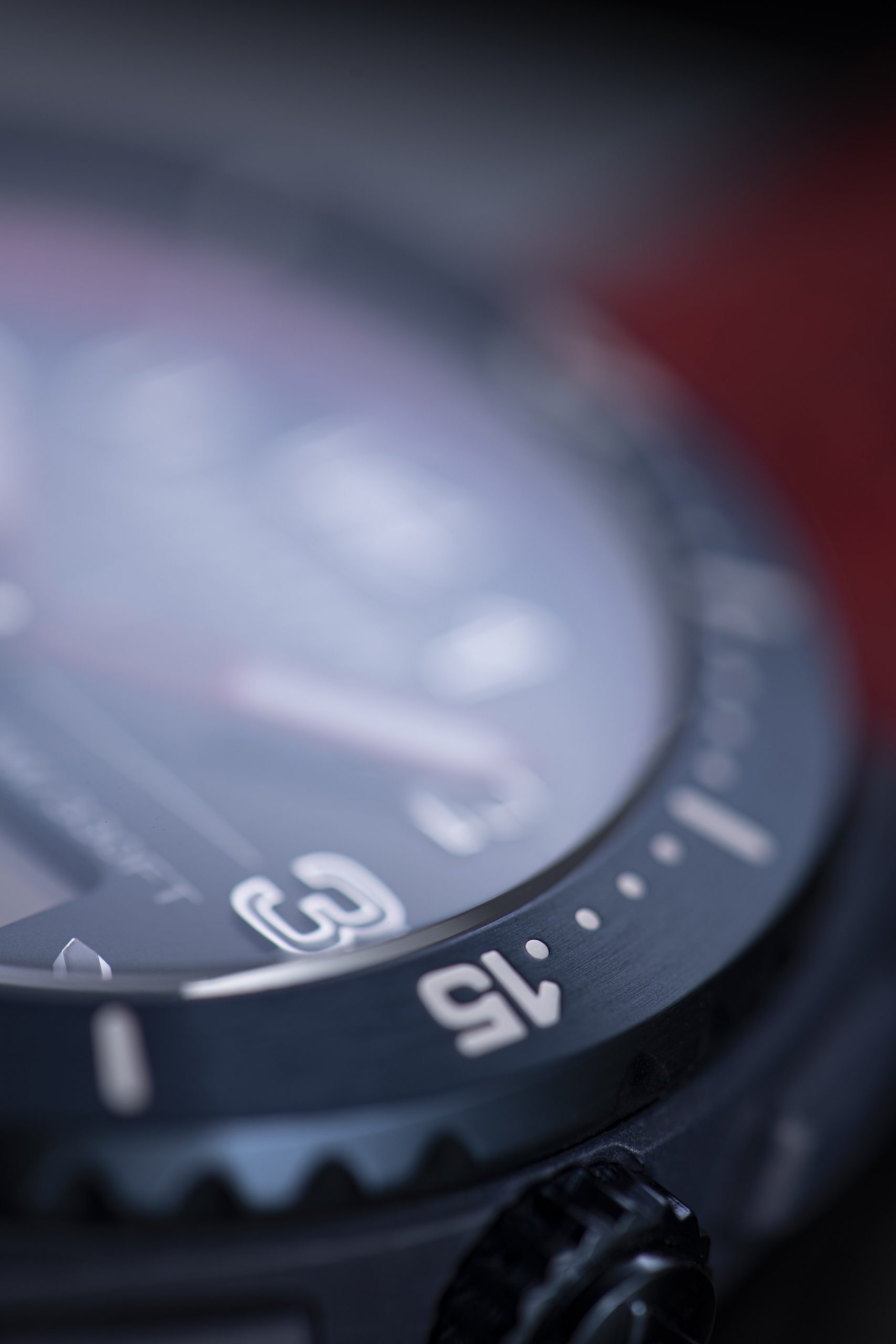 AlpinerX Alive - Image 2