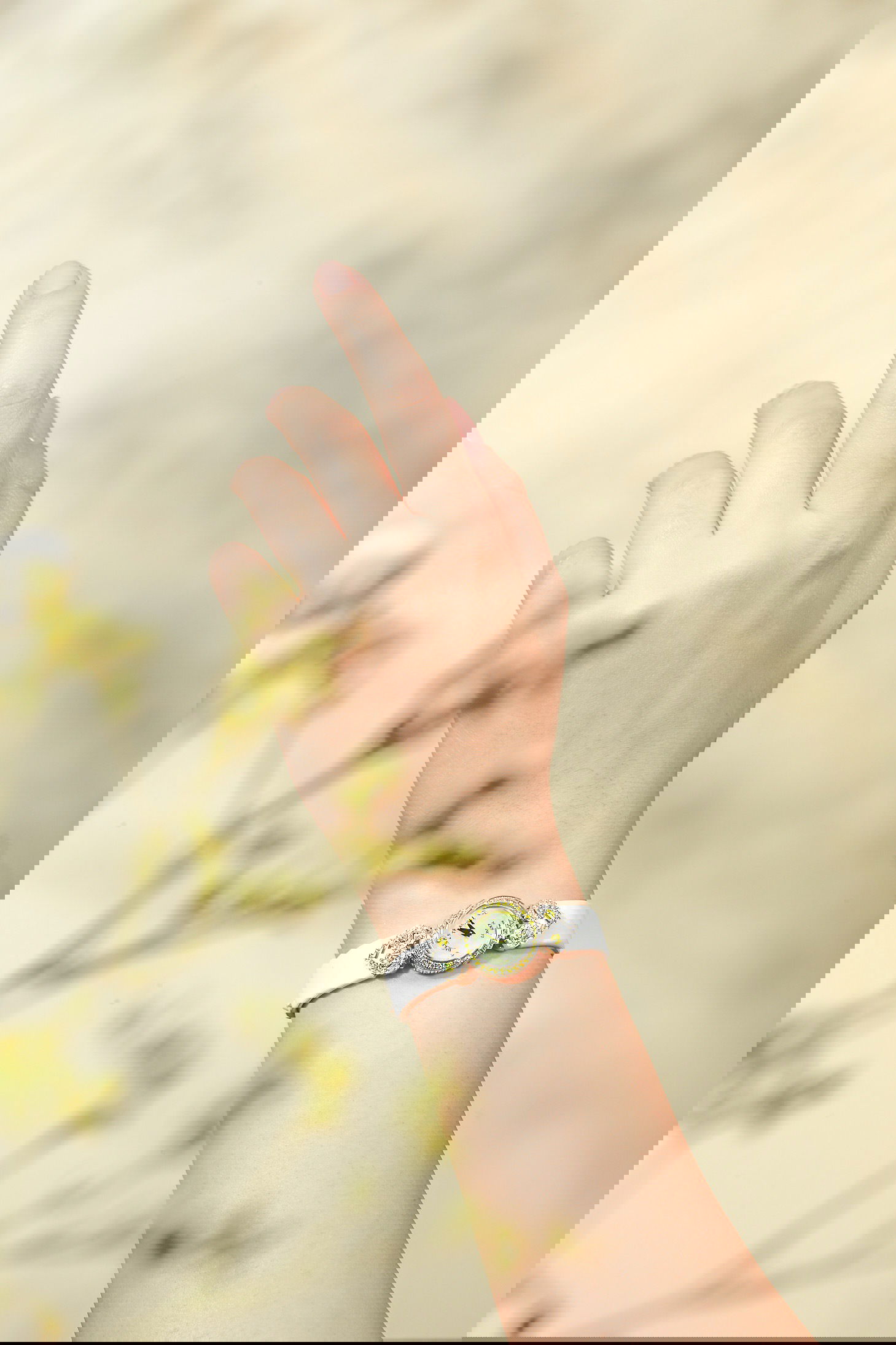 Miss Victoria Fancy Canary - Image 2