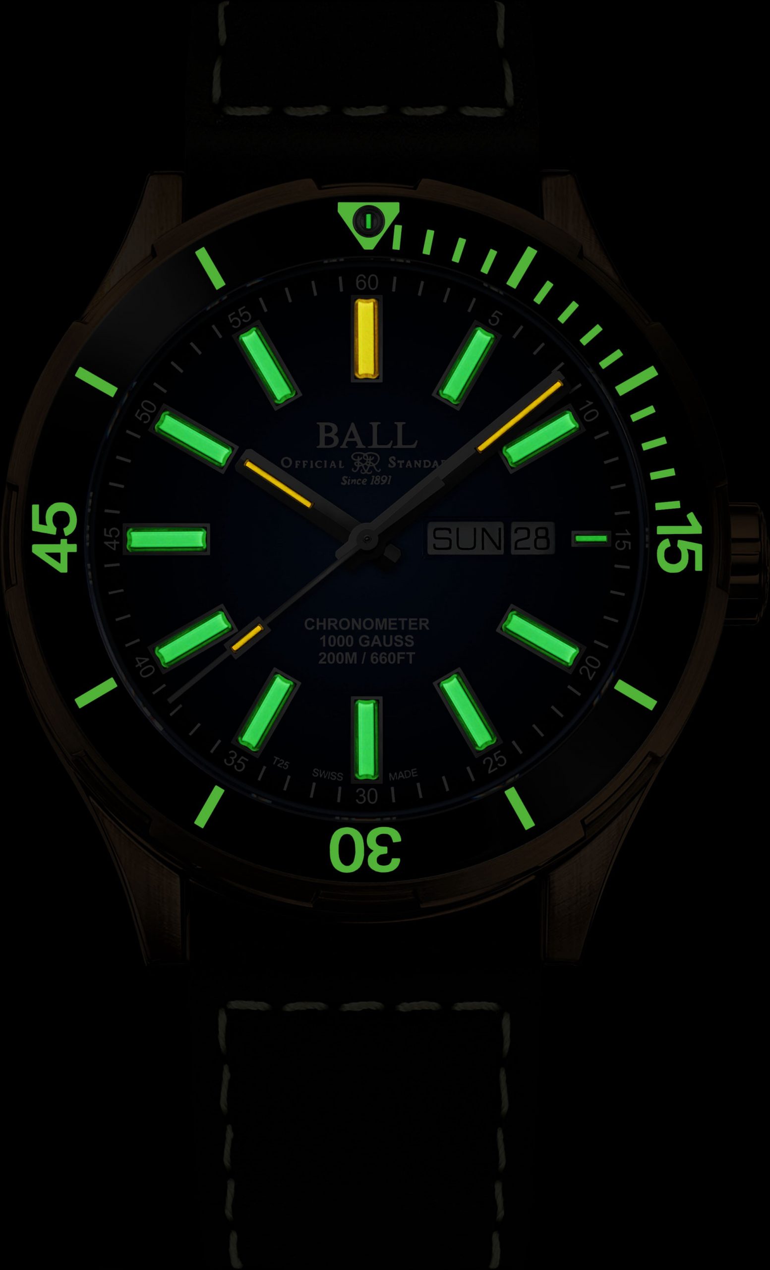 Roadmaster Marvelight Bronze - Image 2