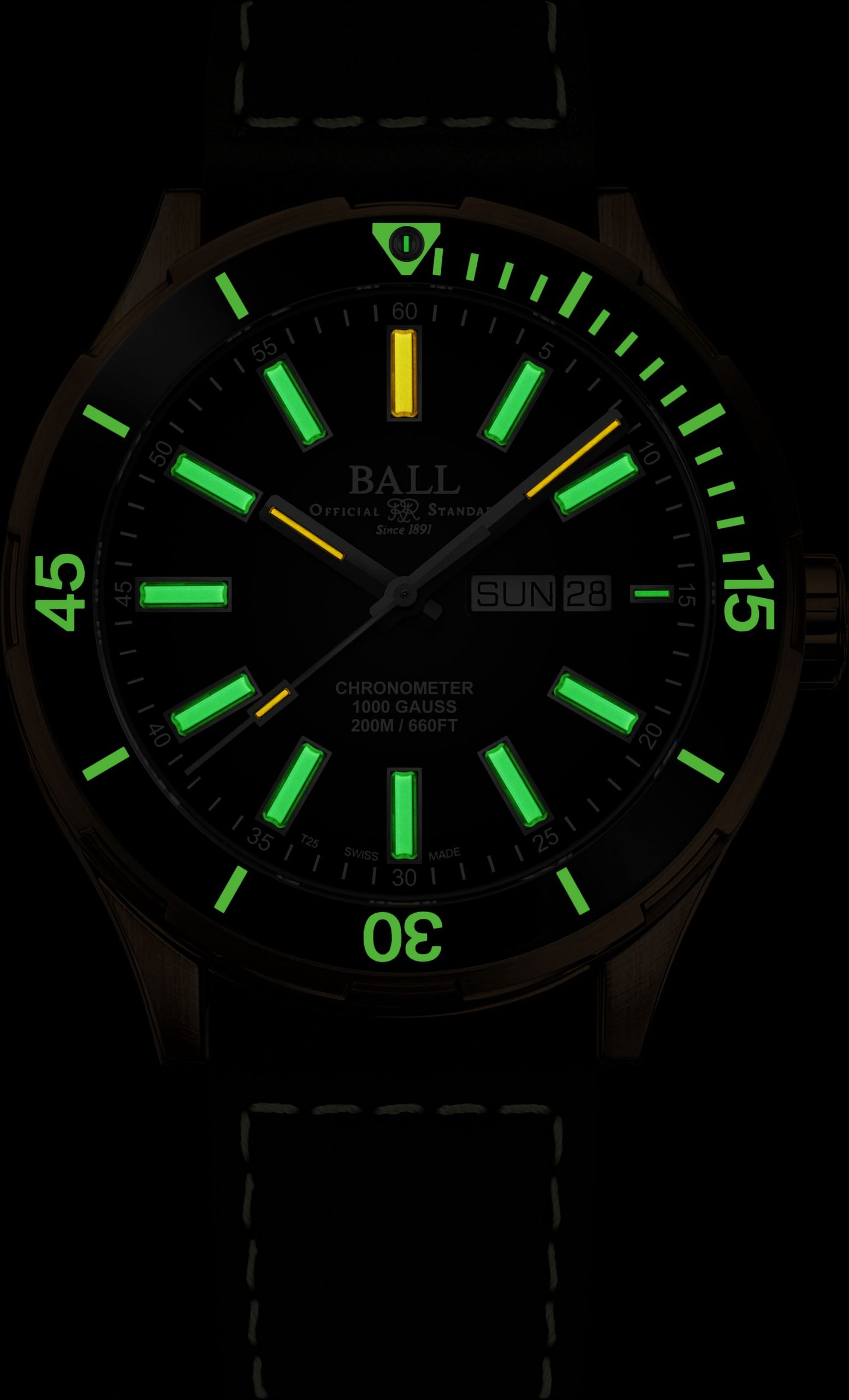 Roadmaster Marvelight Bronze - Image 2