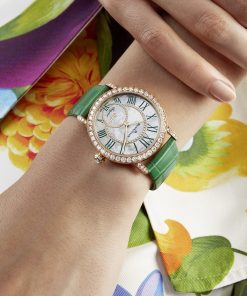 Alternative view of Ladybird Colors