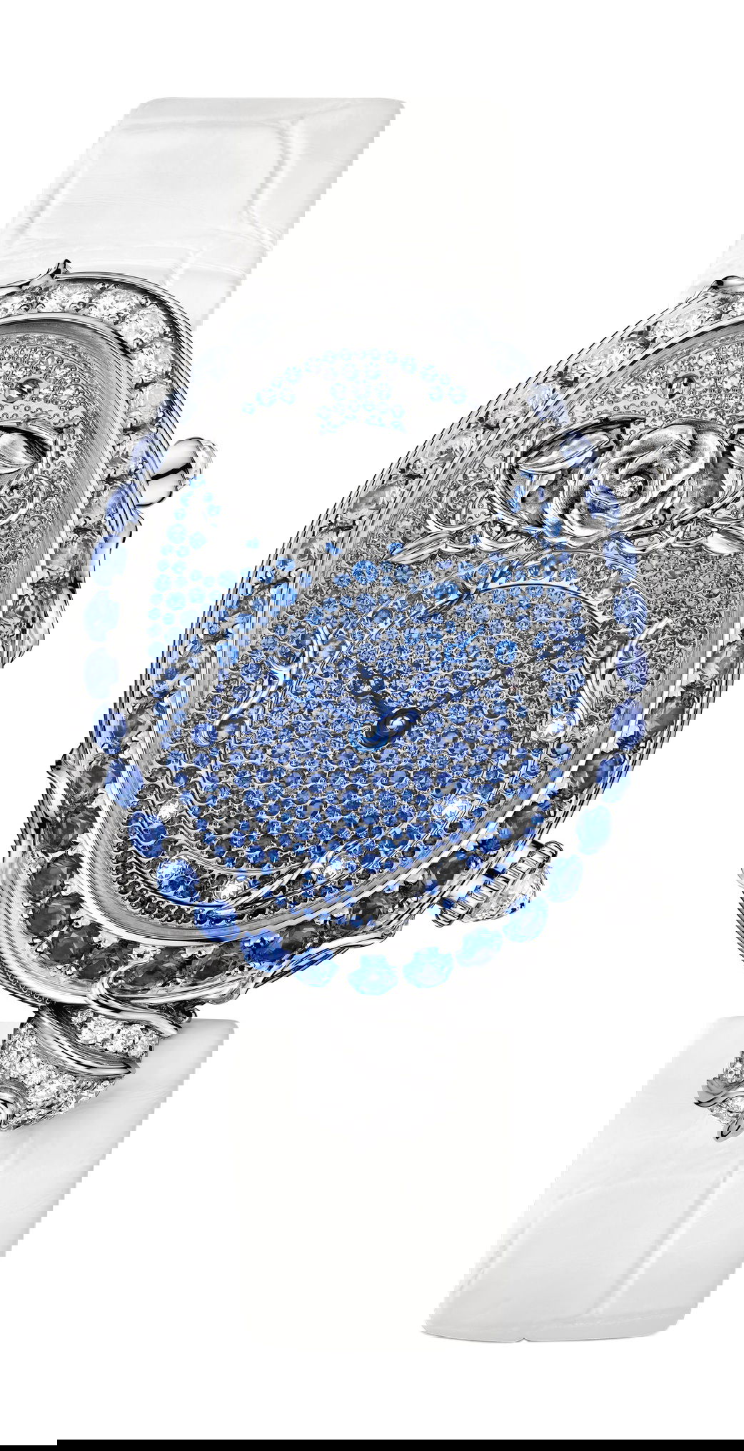 Reine de Naples 8973