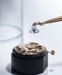 Alternative view of Tradition Seconde Rétrograde 7035