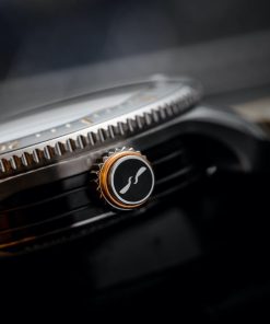 Alternative view of S302