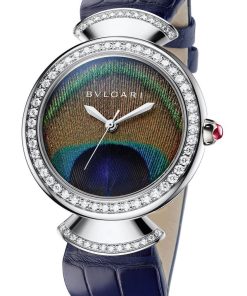 Divas’ Dream Peacock