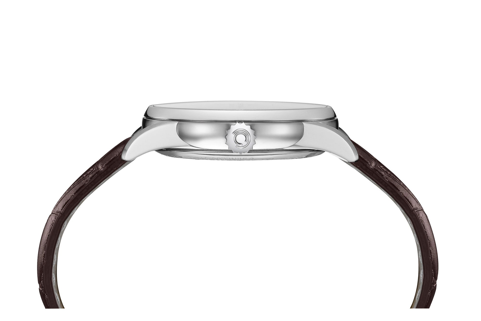 DS-1 Skeleton - Image 4