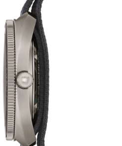 Alternative view of DS-2