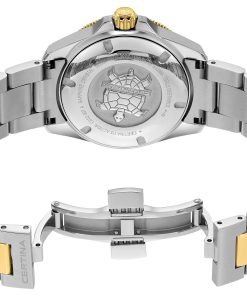 Alternative view of DS Action